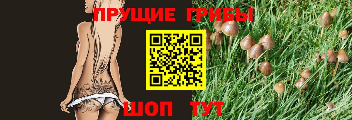 Галлюциногенные грибы Magic Shrooms  Вход с VPN  Сарапул 